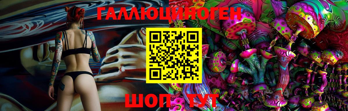 Галлюциногенные грибы GOLDEN TEACHER Ялта