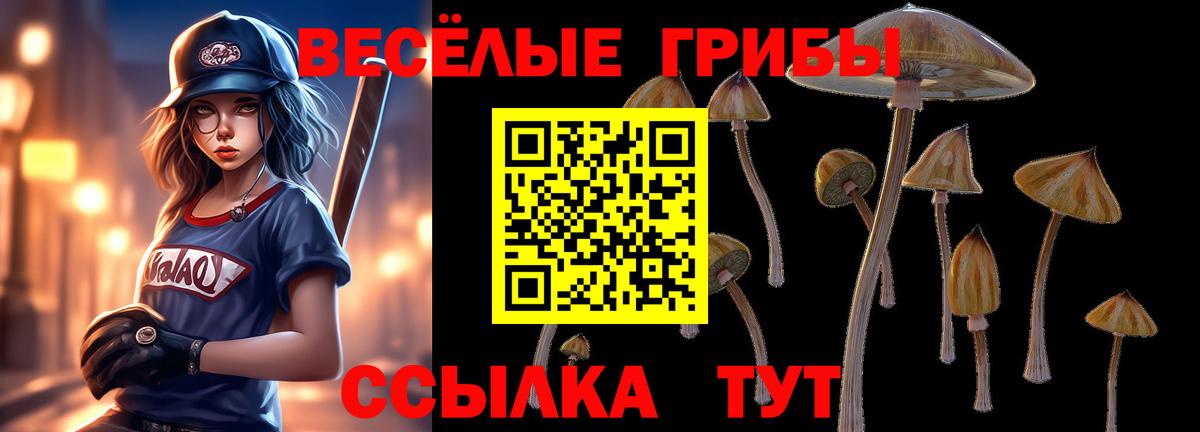 Галлюциногенные грибы Cubensis  Вход с VPN  Ялта 
